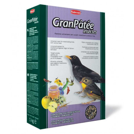 Padovan Granpatee Insectes