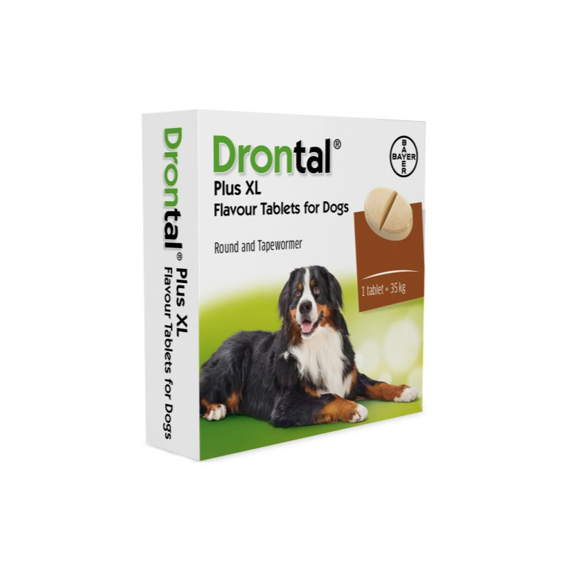 Bayer  DRONTAL XL