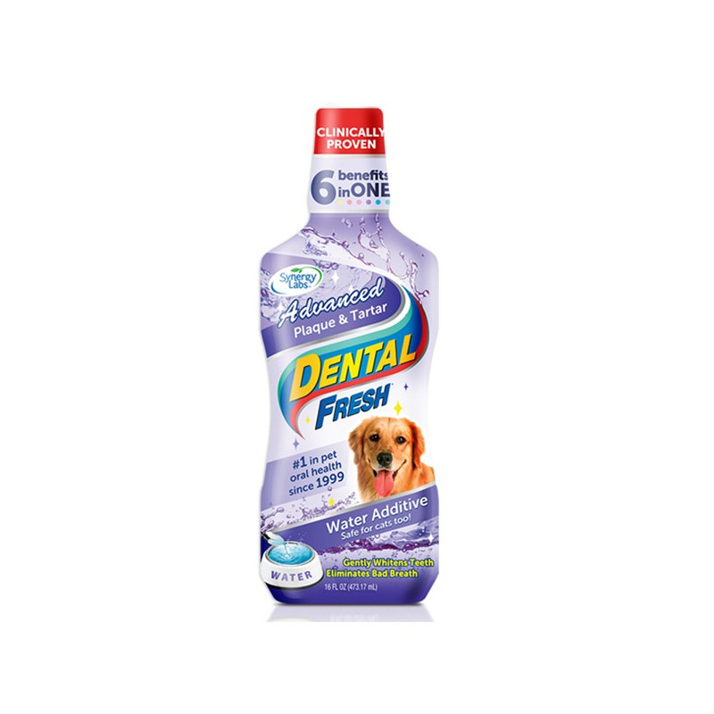 SynergyLabs Dental Fresh Advanced