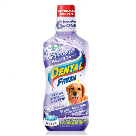 SynergyLabs Dental Fresh Advanced