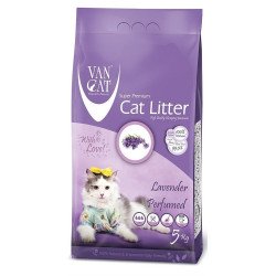Van Cat  LAVENDER