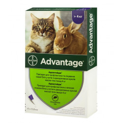 Bayer Advantage 80 для кошек свыше 4 кг