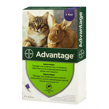 Bayer Advantage 80 для кошек свыше 4 кг
