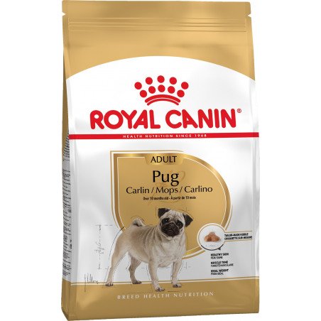 Royal Canin Pug Adult