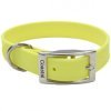 Coastal Fashion Waterproof Dog Collar