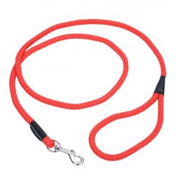 Coastal Rope Dog Leash