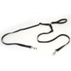Coastal 2 Dog Walke