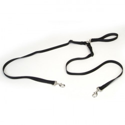Coastal 2 Dog Walke