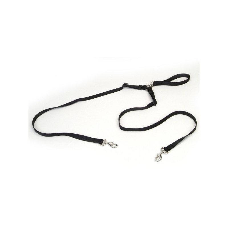 Coastal 2 Dog Walke