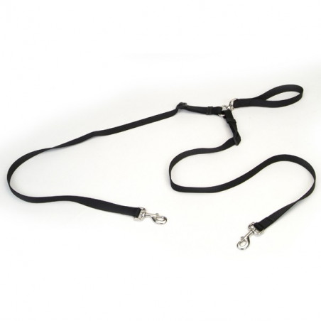 Coastal 2 Dog Walke