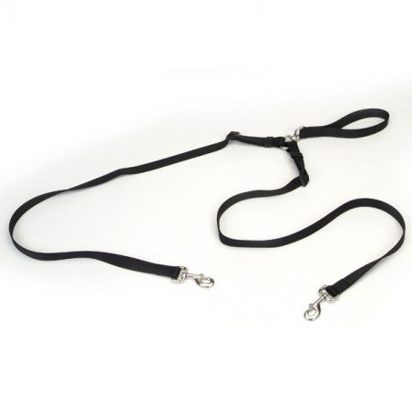Coastal 2 Dog Walke