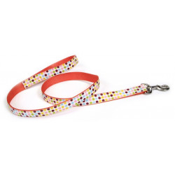 Coastal Pet Attire Ribbon