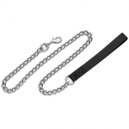 Coastal Titan Chain Dog Leash