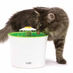 Hagen Catit Flower