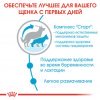 Royal Canin Maxi Starter