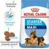 Royal Canin Maxi Starter