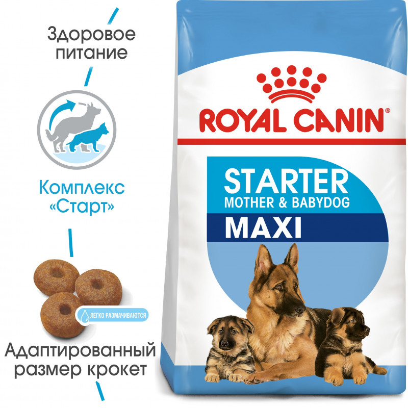 Royal Canin Maxi Starter