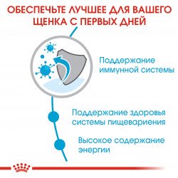 Royal Canin Mini Junior