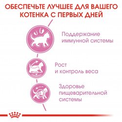 Royal Canin Kitten Sterilised
