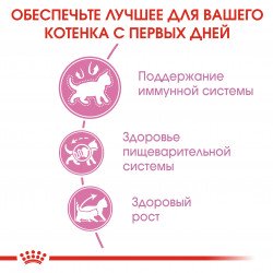 Royal Canin Kitten