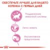 Royal Canin Kitten Instinctive