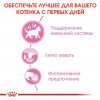 Royal Canin Kitten Instinctive