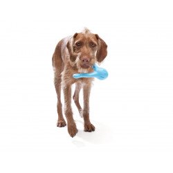 West Paw Tizzi Dog Toy