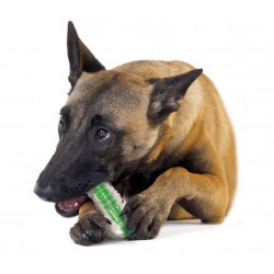 Petstages Crunchcore