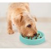 Fun Feeder Slo-Bowl Tiny