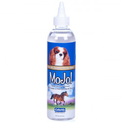 Davis MoJo!