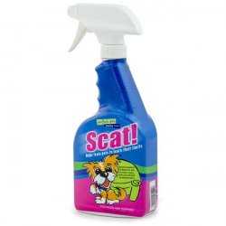 Davis Scat!