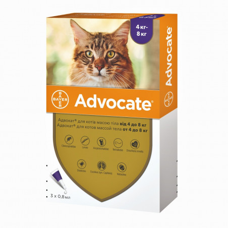 Bayer Advocate для кошек от 4 до 8 кг