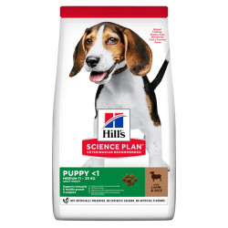 Hills SP Puppy Medium Lamb and Rice