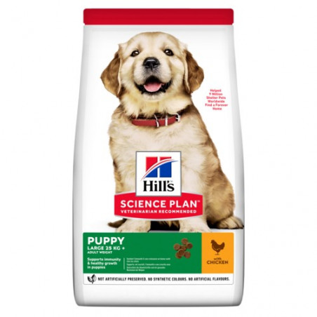 Hills SP Puppy Large Breed Chicken