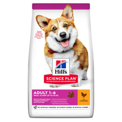 Hills SP Canine Mature 7+ Small & Miniature