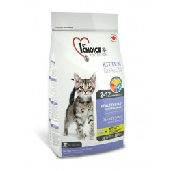 1st Choice Kitten