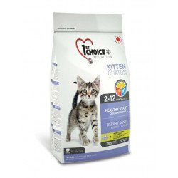 1st Choice Kitten