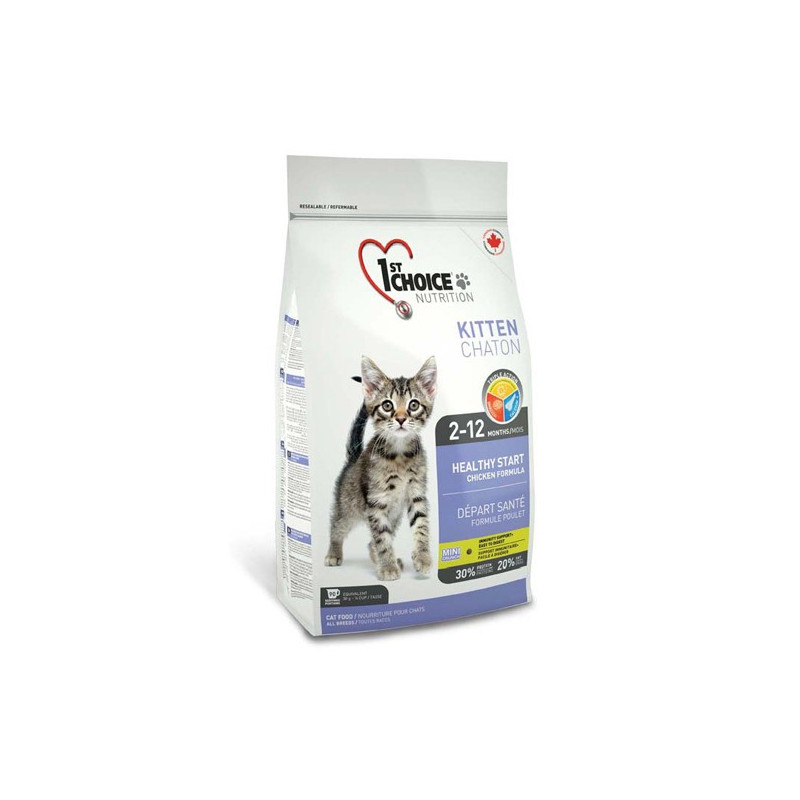 1st Choice Kitten