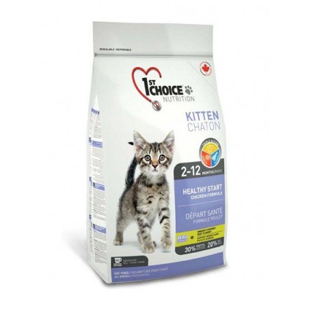 1st Choice Kitten