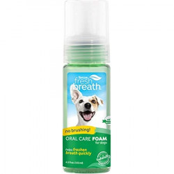 TropiClean Instant Fresh Foam