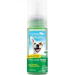 TropiClean Instant Fresh Foam