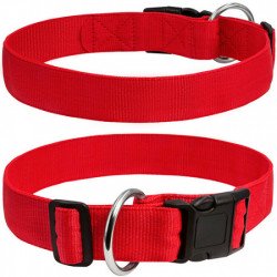 Collar DOG Extreme