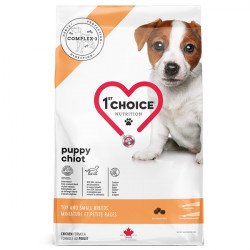 1st Choice Puppy Toy and Small