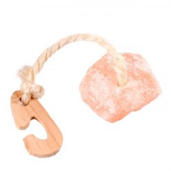 Flamingo Stone Solt Lick Himalaya