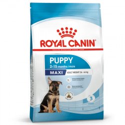 Royal Canin Maxi Puppy (Junior)