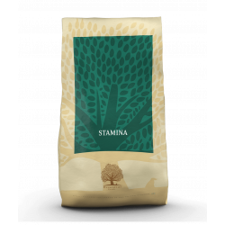 Essential Foods Stamina