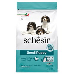 Schesir Dog Small Puppy