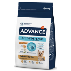 Advance Yorkshire Terrier Adult
