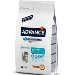 Advance Cat Kitten