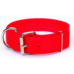 Coastal Macho Dog Red